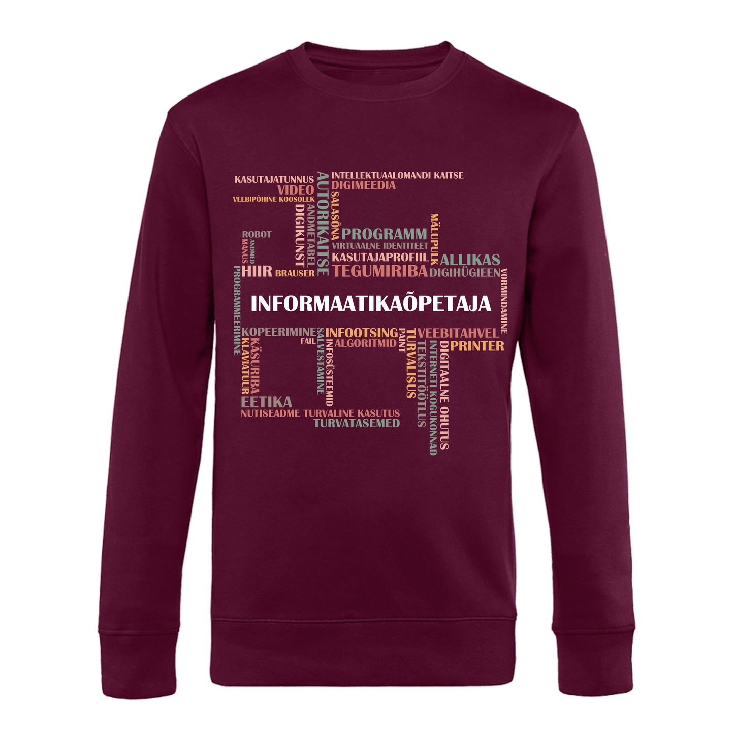 Pusa INFORMAATIKAÕPETAJA